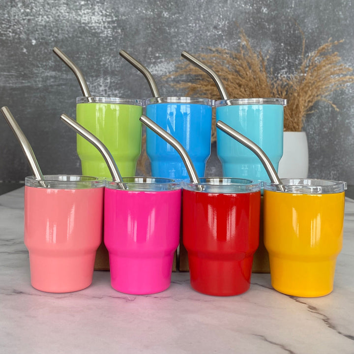 New! Mini Stainless Steel Tumbler with Straw
