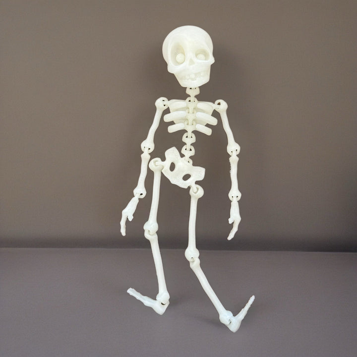 3D Skeleton Charm - Tumbler Handle Charm