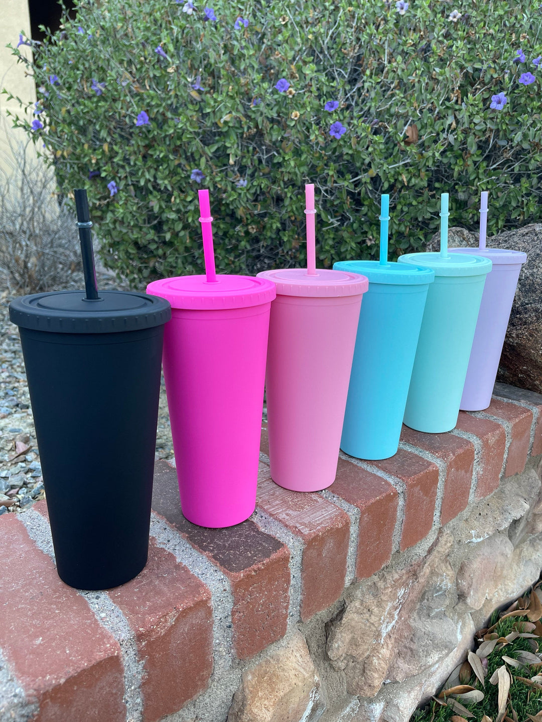 Pastel Cup Blank Cups Tumblers, 24 oz Matte Tumblers, Double Wall Acrylic Tumbler With Straw and Screw Lid BPA Free
